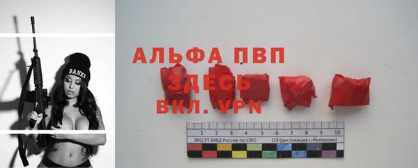 mdpv Вяземский