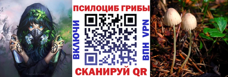 Псилоцибиновые грибы Magic Shrooms  как найти закладки  Зверево 
